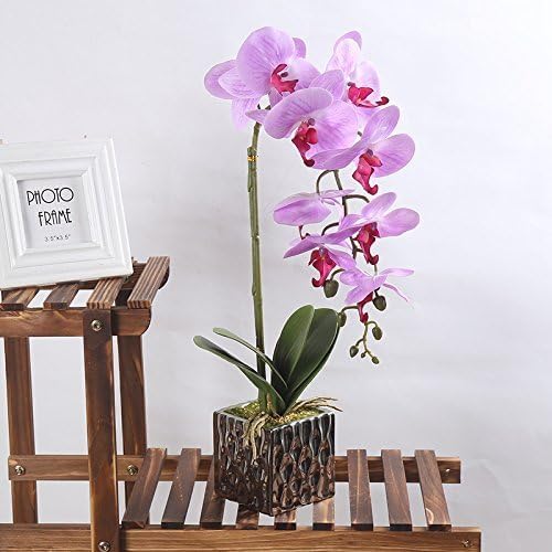 Orquídeas artificiales HUAQINGJUE sin riego para rincones oscuros 7