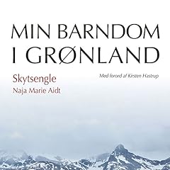 Couverture de Skytsengle