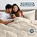 Bare Home Comforter Set - Queen Size - Ultra-Soft - Goose Down Alternative - Premium 1800 Series - All Season Warmth (Queen, Sand)