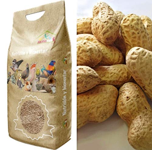 Faunamix Cacahuetes con cáscara crudos. Complemento alimenticio para Loros (2 kg)