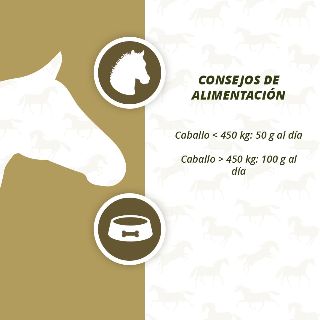 Holland Animal Care Excellent Equi Prebiotics – Promueve la actividad intestinal y estimula el apetito – Adecuado para caballos – 2,5 kg