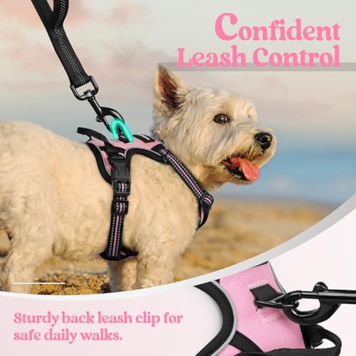 Image of rabbitgoo Dog Harness No Pull with 2 Leash Clips, Adjustable Soft Padded, Reflective Oxford No Choke Pet Vest with Easy Control Handle for Puppy, Pink, XS