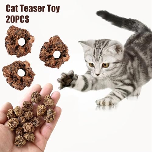Cerioll Früchte als Katzenspielzeug für Katzen,20 Stück Matatabi Früchte Spielzeug für Katze,Katzens Früchtes Spielzeug,Zahnreinigung Dentales Essbares Kätzchenspielzeug Katzens Zahnreinigung