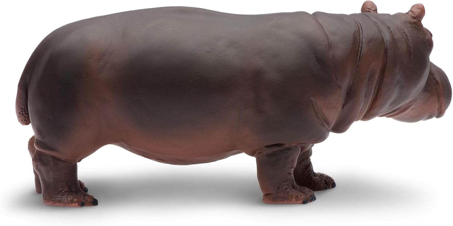 Safari Ltd. Hippopotamus Figurine - Realistic 5.5" Hippo Figure - Educational Toy for Boys, Girls, and Kids Ages 3+