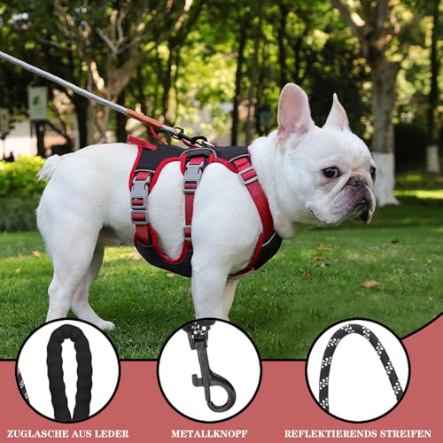 Amexo Mehrzweck-Hundegeschirr mit Leine Set, Reflektierendes Hundegeschirr, Ausbruchsicher Anti Zug Hundegeschirr, Sicherheitsgeschirr Hund, Hundegeschirr Hunde für Kleine Mittelgroße Hunde(Schwarz,M)