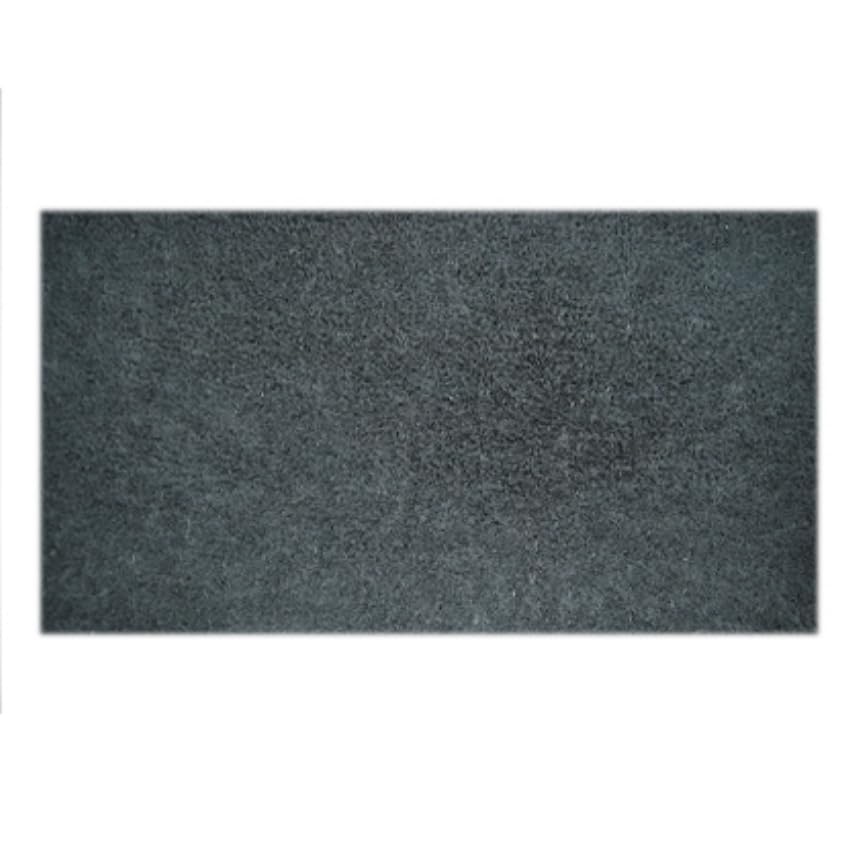 Paillasson coco gris rectangulaire tapis entrée brosse 33x75 23mm - 4