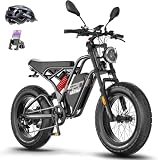 Fafrees Bici Elettrica F20 ULTRA, Fat Bike da 20 * 5,0 pollici, Batteria da 48V/25 Ah, Freni Idraulici, Mountain Bike Elettrica per Adulti Unisex, Autonomia 100 KM [Certificato L1e-B] (Grigio)