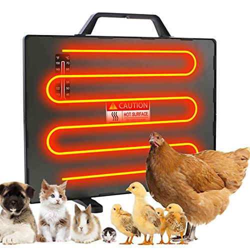 Top 12 Best Heater For Poultry Houses Reviews & Buying Guide Maine