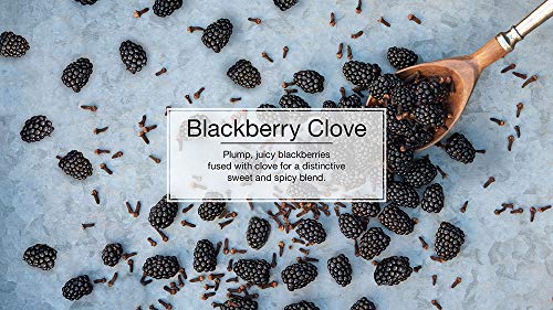 Little Trees Car Air Freshener Hanging Tree Provides Long Lasting Scent For Auto Or Home. Blackberry Clove, 24 Count, (4) 6-Packs #TOP3
