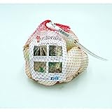 Fitoralia Bolsa de Bulbos de Cebolla de Calçots Ecológicos 2 Kg