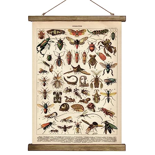 SHOXREM Vintage Poster,Rustic Art Prints, Retro Style of Wall Hanging for Living Room Office Classroom Bedroom Playroom Apartment Decor. (Insects B 1Panels, 16“ x 24”)