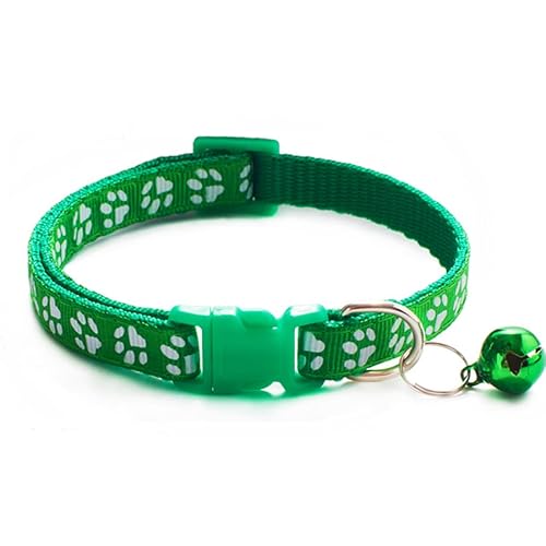 Seven Fox L   t  19F JCC qL 킢  (O[)