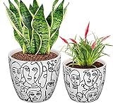 Enthält: 2 Stück Keramik Blumenübertopf, 3 Stück ton Werkzeuge