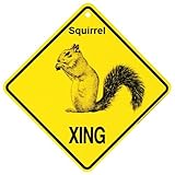 Squirrel Xing caution Crossing Sign wildlife Gift
