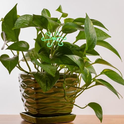 Image of BESPORTBLE 12 Plant Support Clips, 12 Piece, Plastic, Light Green