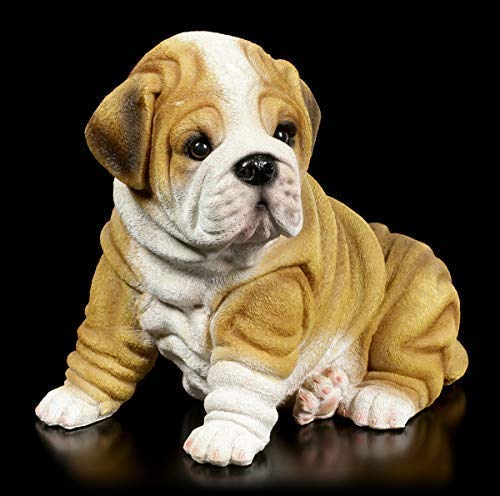 Figuren Shop Gmbh Figura de Jardín - Arrugado Shar Pei Cachorro Figura de Perro, Pintado a Mano Resistente a la Intemperie