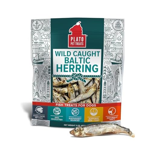 Plato Pet Treats Fish Dog Treats - Air-Dried, Single Ingredient Dog Treat - with Omega 3 & 6 Fatty Acids to Support Skin and Coat - 100% Whole Fish - Wild Caught Baltic Herring Dog Treats - 3oz