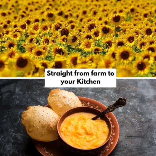 Image of Healthy Roots 500ml Cold Pressed Sunflower Oil (Virgin, Chekku /Ghani) - 500 ml Wood Pressed Sunflower Oil for cooking
