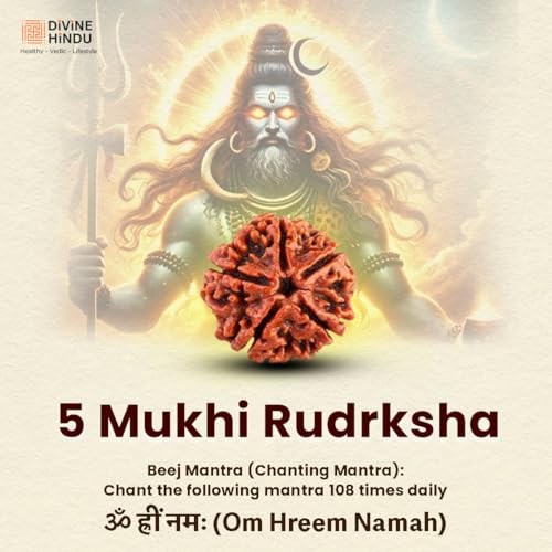 Image of Divine Hindu Original 5 Mukhi (Five Face) Indonesia Rudraksha |Panch Mukhi Rudraksh Bead for Meditation, Protection & Spiritual Growth | Natural Rudraksha for Men & Women | Prayer Bead for Success