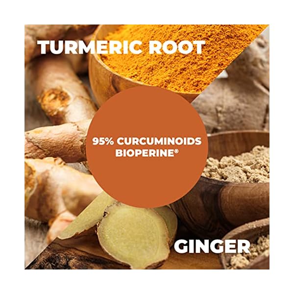 Turmeric-and-Ginger-Supplement-with-Bioperine-Black-Pepper-Natural-Joint-Pain-Relief-Immune-Support-with-95-Curcuminoids-for-Extra-Absorption-Vegan-Antioxidant-for-Healthy-Inflammatory-Response Tumeric and Ginger with Black Pepper - Natural Turmeric Curcumin Joint Support Supplement with Bioperine & 95% Curcuminoids. High Absorption Curcumin Supplements. Digestive & Immune Support. 60 Caps