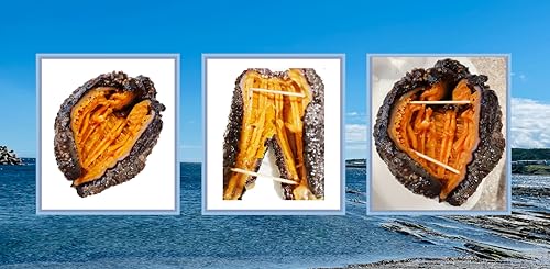 Pureca Dried Sea Cucumber Premium Deep Sea Atlantic Canada Wild Caught thumb #5