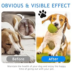 Dog-Anal-Gland-Spray-35oz-Relieve-Dog-and-Cat-Anal-Gland-Irritations-Anti-Itch-Eliminator-for-Tough-Odor-Clear - Cucciolini Doodles   Dog-Anal-Gland-Spray-35oz-Relieve-Dog-and-Cat-Anal-Gland-Irritations-Anti-Itch-Eliminator-for-Tough-Odor-Clear