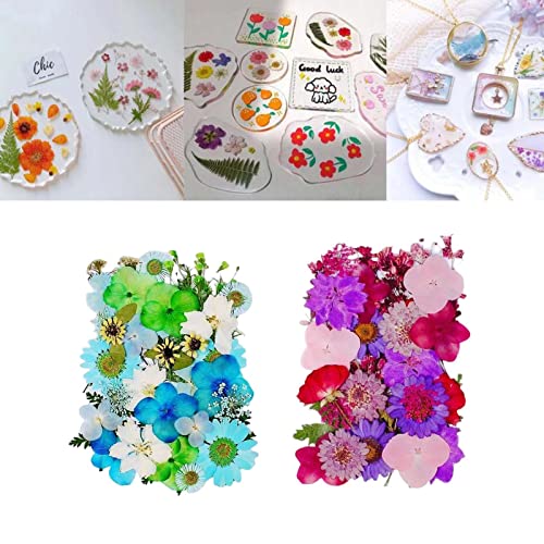 Newmind 2 peças de materiais de flores secas prensadas faça você mesmo para fazer cartões