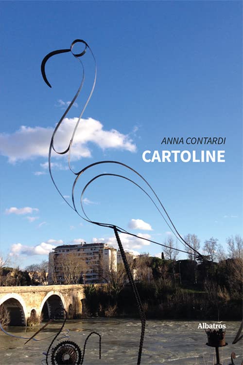 Formato: Libro in brossura Cartoline