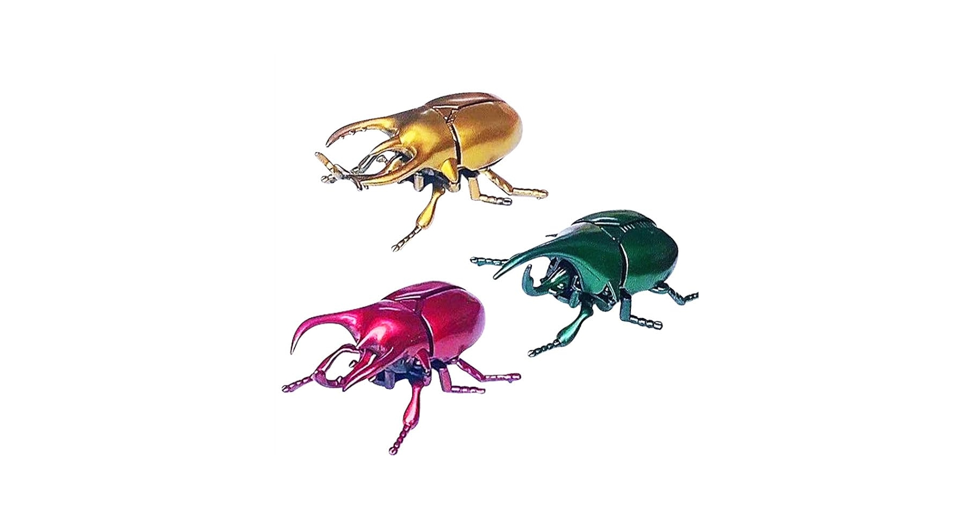 Amazon.co.jp: Homilius カブトムシ ぜんまい 3匹セット ムシ