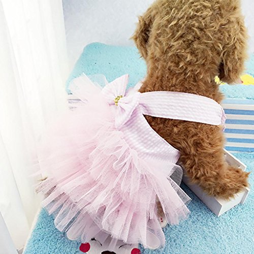 Howstar Pet Dress, Cute Halter Bowknot Tutu Dresses For Dog Puppy Lace Skirt Princess Dress (L, Pink) #TOP2