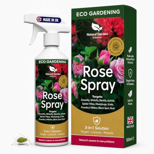 Black Spot Spray for Roses | Ready To Use 3 in 1 Solution Target Control Protect | Aphid Solution for Roses Greenfly and Blackspot Treatment | Rose Protection Spray | 500ml