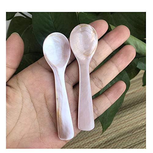 EvaGO Handmade Caviar Spoons Mother of Pearl MOP Caviar Spoon W Round Handle 37 inch 2 pack