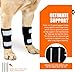 NeoAlly- Front Leg Brace for Dogs & Cats, Dog Leg Brace with Metal Spring Inserts, Dog Leg Sleeve for Carpal Support, Dog Leg Sleeve with Reflective Straps, XXS to XS, Left Leg
