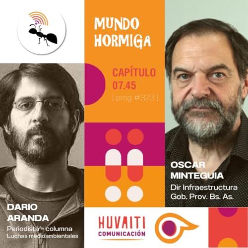 Mundo Hormiga - 11 de enero de 2026