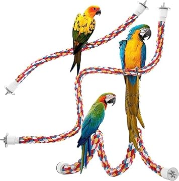best bird perches for quakers that will surprise every owner 1 best bird perches for quakers