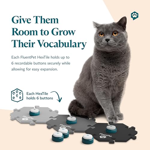 Image of FluentPet Speak Up! Get Started Kit with Clearer Upward-Facing Sound - 6 Recordable Buttons for Dogs & 3 Grey HexTiles | Dog & Cat Communication Buttons Set | with Batteries
