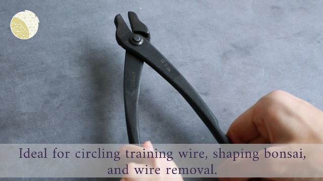 Amazon.com: Wazakura Hand Forged Bonsai Wire and Jin Pliers Made