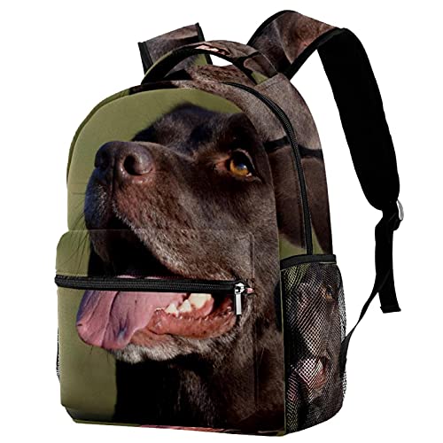 Sac à dos voyage loisirs campus motif labrador pour les sorties d'enfants