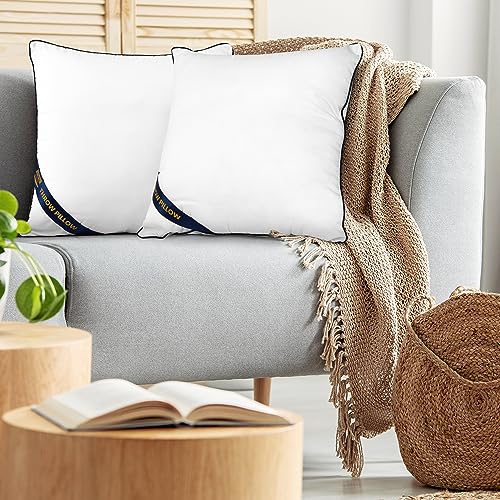 Utopia Bedding Throw Pillow Inserts (Pack of 2, White), 14 x 14 Inches Decorative Indoor Pillows for Sofa, Bed, Couch, Cushion Sham Stuffer