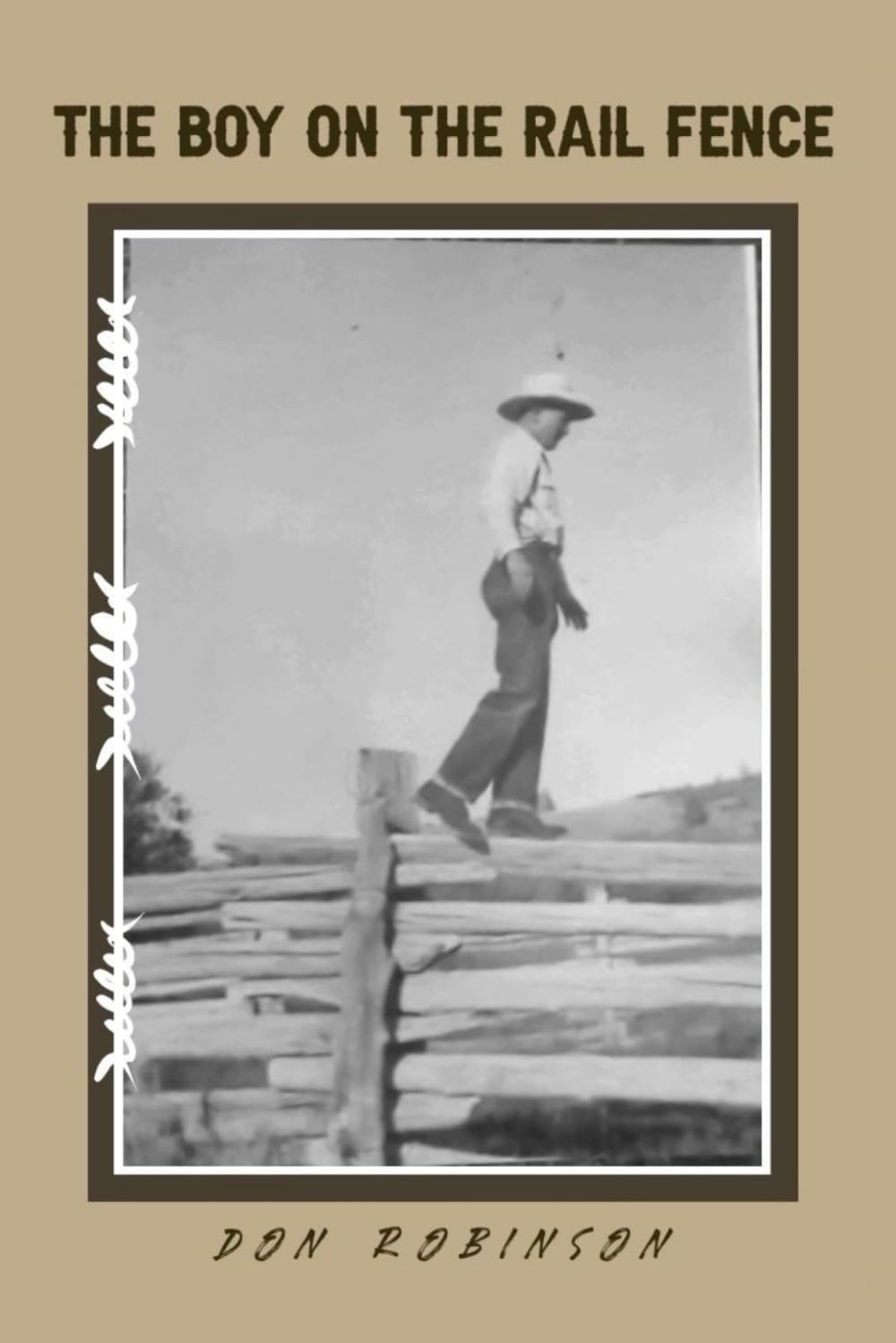 The Boy on the Rail Fence