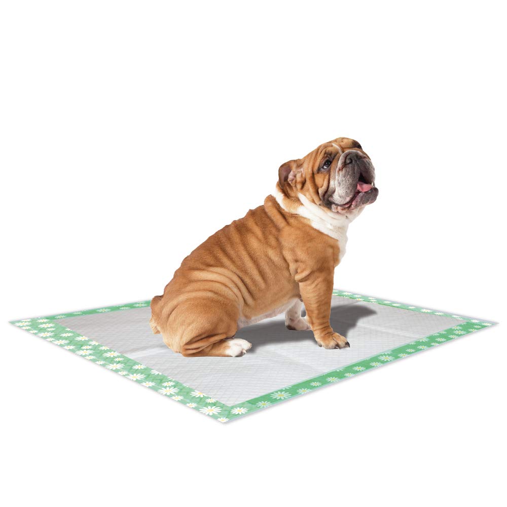 Croci Super Nappy Carboni attivi - Tappetini Igienici per Cani 57x84 cm - 60 pezzi & Super Nappy Daisy - Tappetini Igienici per Cani 84X57 cm 30 Pezzi