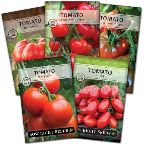 Sow Right Seeds - Classic Tomato Seed Collection for Planting - Cherokee Purple Beefsteak Large Red Cherry Marglobe and Roma Tomatoes - Non-GMO Heirloom Varieties Plant a Home Vegetable Garden