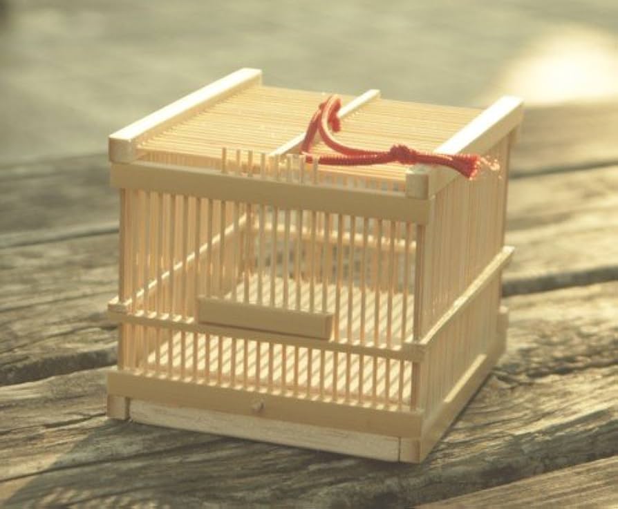 駿河竹千筋細工　竹製　虫かご　伝統工芸品　未使用 駿河竹千筋細工 角型虫篭（大） 虫籠 静岡県伝統工芸品 久保田正