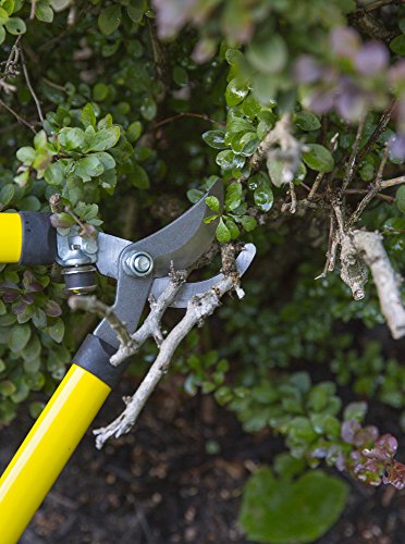 H.B. Smith Tools 3-Piece Pruner Set for Lawn and Garden