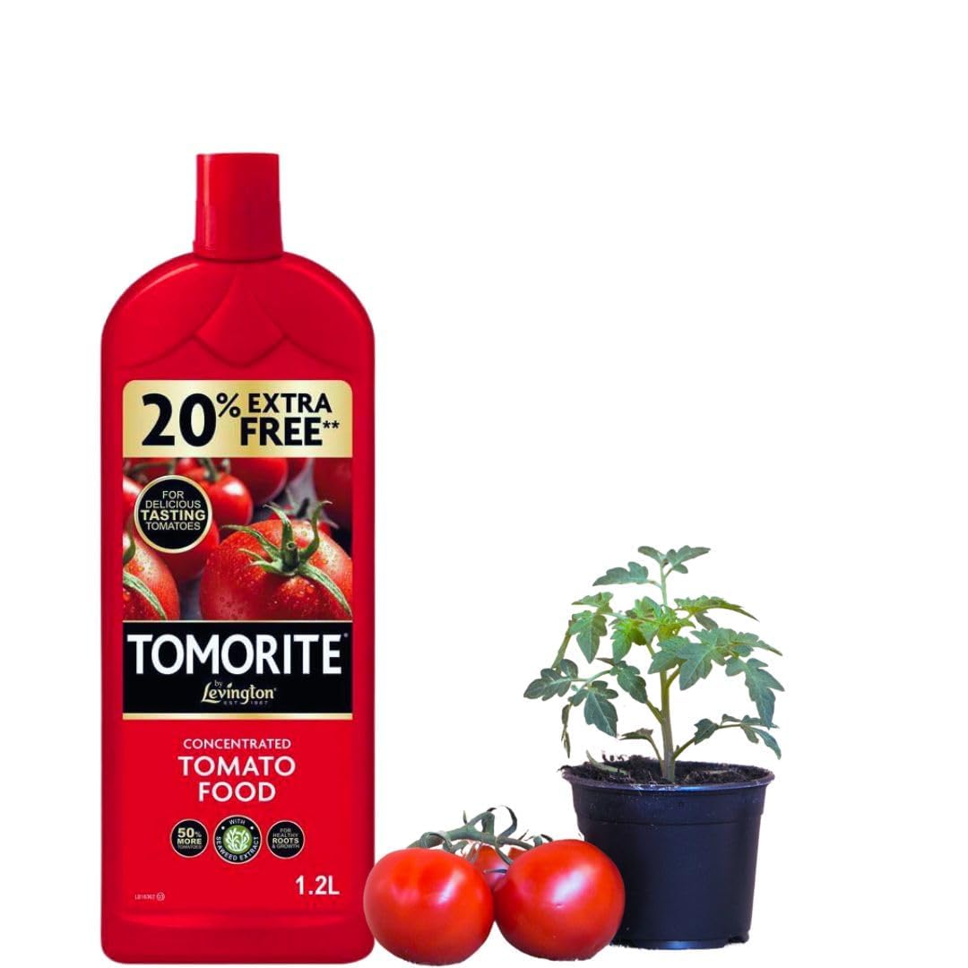 Levington Tomorite Concentrated Tomato Plant Food for Healthy Growth - Ready To Use Tomato Plant Feed - 1.2L + 20% Extra Free