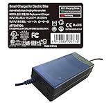 Charger Compatible with eAhora X3 Folding Electric Bike eBike