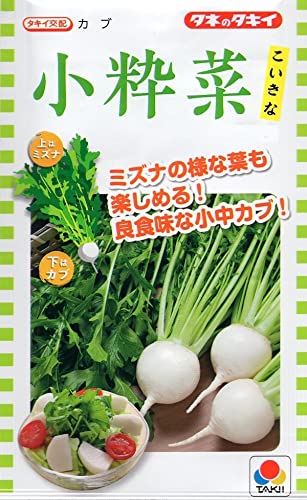 野菜種子 カブ 小粋菜 タキイ種苗のタネ