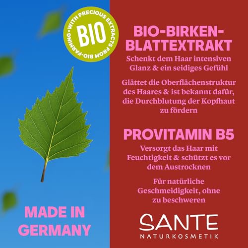 SANTE Naturkosmetik Glossy Shine Conditioner - 150 ml - mit Bio-Birkenblatt & Provitamin B5 - für glanzloses Haar - silikonfrei & vegan - dermatologisch getestet
