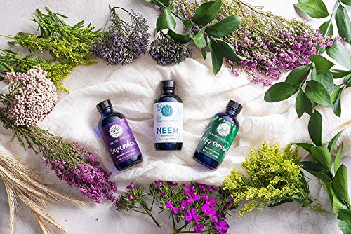 Woolzies Lavender Essential Oil - Aromatherapy Essential Oils For Diffuser And Topical Use | 100% Pure Therapeutic Grade Lavendar | Improves Relaxation 4 Fl Oz #TOP3