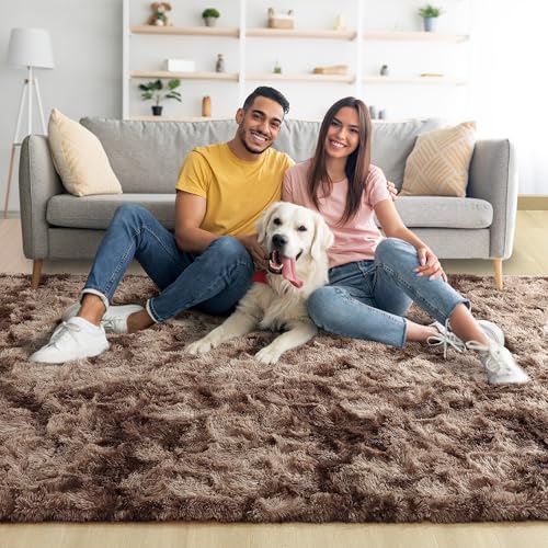 Noahas Large Fluffy 6x9 Area Rugs for Living Room Bedroom,Tie-Dyed Brown Thick Shag Throw Rug,Big Soft Shaggy Bedside Non-Slip Plush Dorm Nursery Kids Carpet